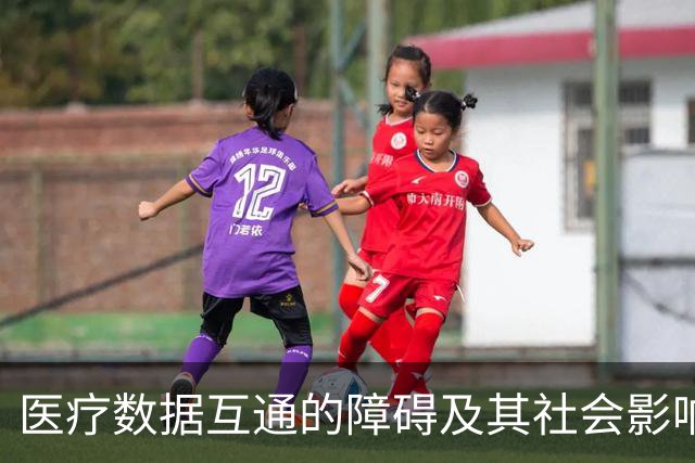医疗数据互通的障碍及其社会影响分析