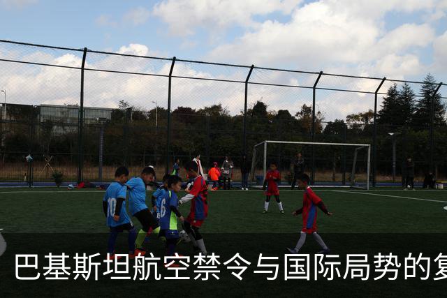 巴基斯坦航空禁令与国际局势的复杂交织